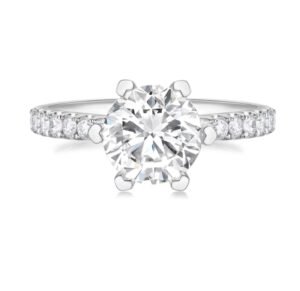 主 Light and Shadow Oath